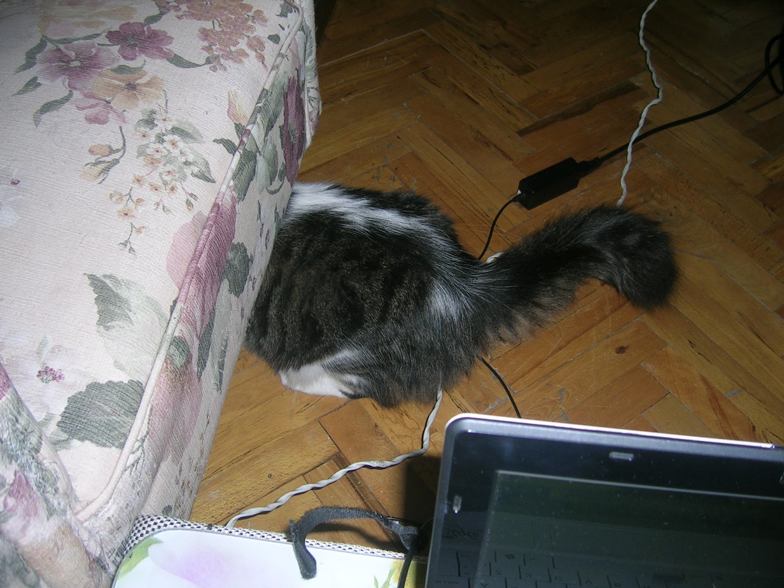 Gül Tasarım Evi Ağustos 2012