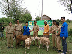 Tebar Qurban di Pulau Semonet Woker