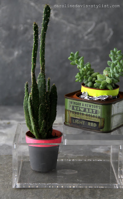 caroline davis stylist, trend daily blog, styling details, succulents, vintage, homebarn