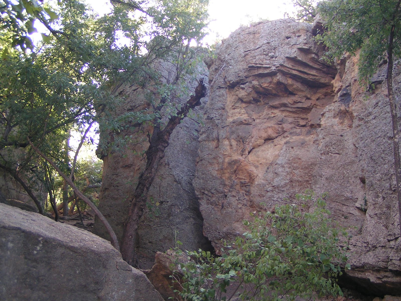 Discover the World Rock Climbing area in Mineral Wells State Park
