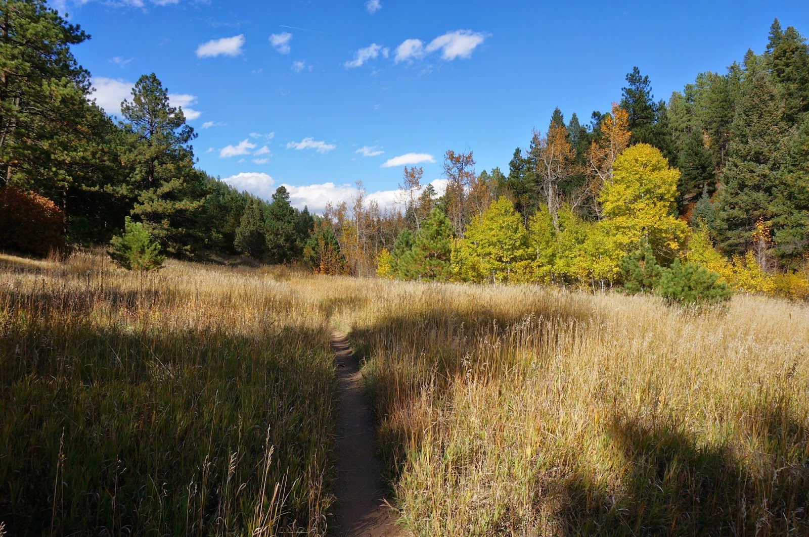 Go Hike Colorado Indian Creek Trail