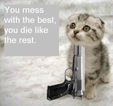 cat_and_gun.jpg