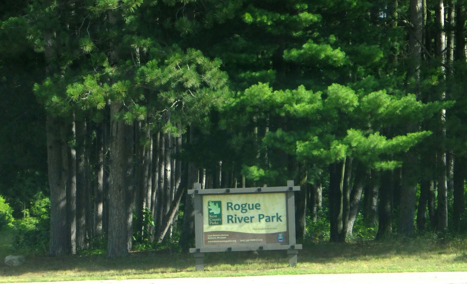 Plants Amaze Me Lamberton Lake Nature Preserve, Rogue River Park