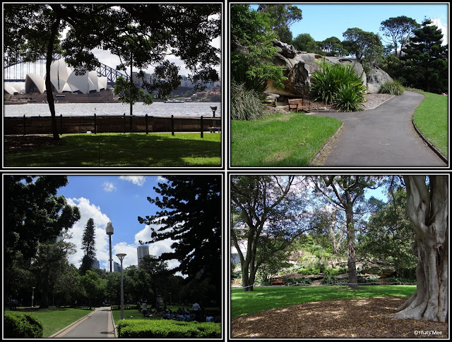 Parc de Sydney Royal Botanic Garden, visiter Sydney, que faire a Sydney