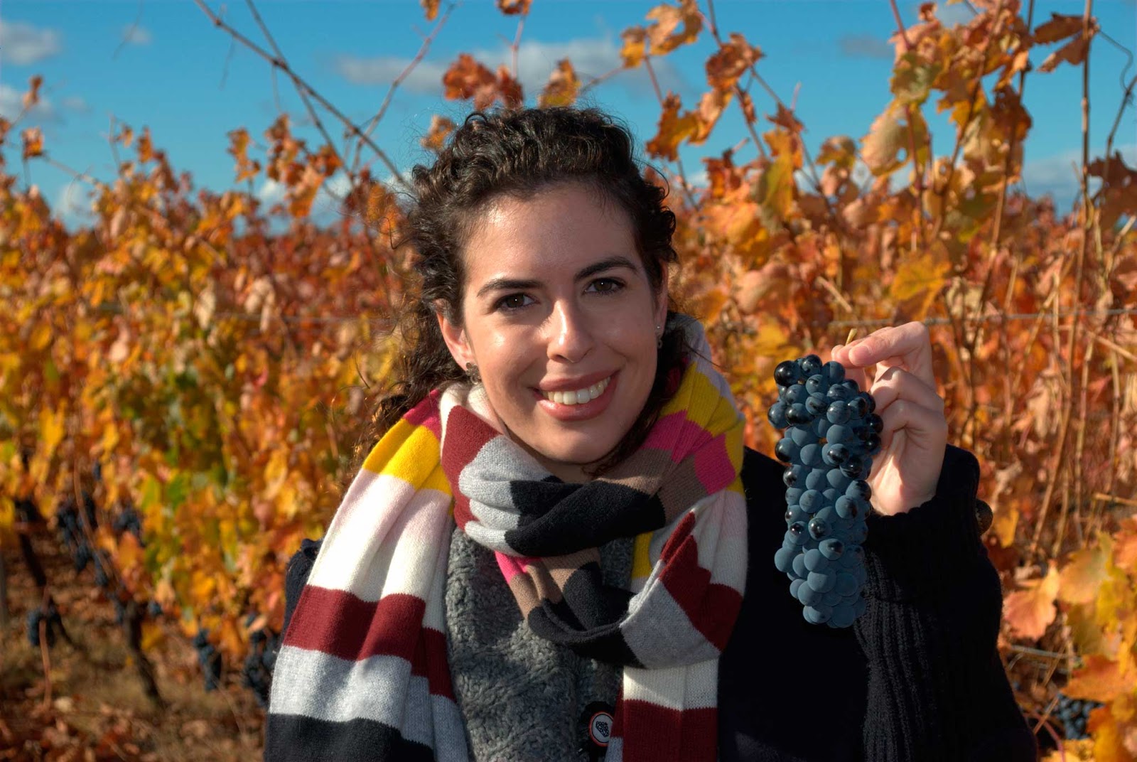 The Most Spectacular Wineries in Spain and a Wine Harvest Festival