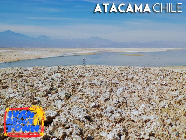Salar de Atacama, Antofagasta, Chile