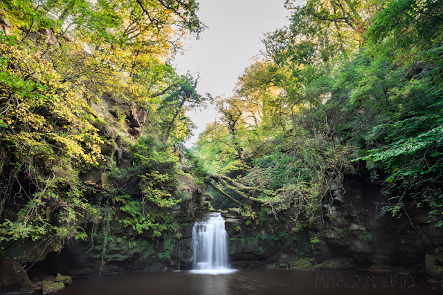 Thomason Foss waterfall in a deep valley at Beck Hole by Martyn Ferry Photography