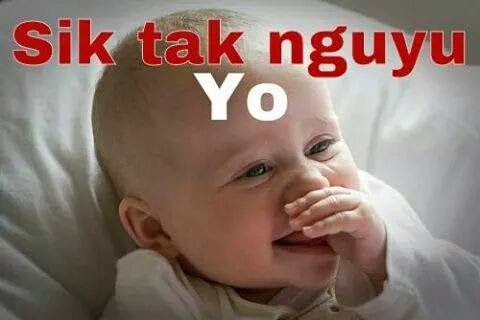 78+ Gambar Babi Dan Kata Lucu Paling Hist 78+ Gambar Babi Dan Kata Lucu Paling Hist