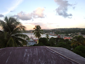 Beautiful morning in Tobago!