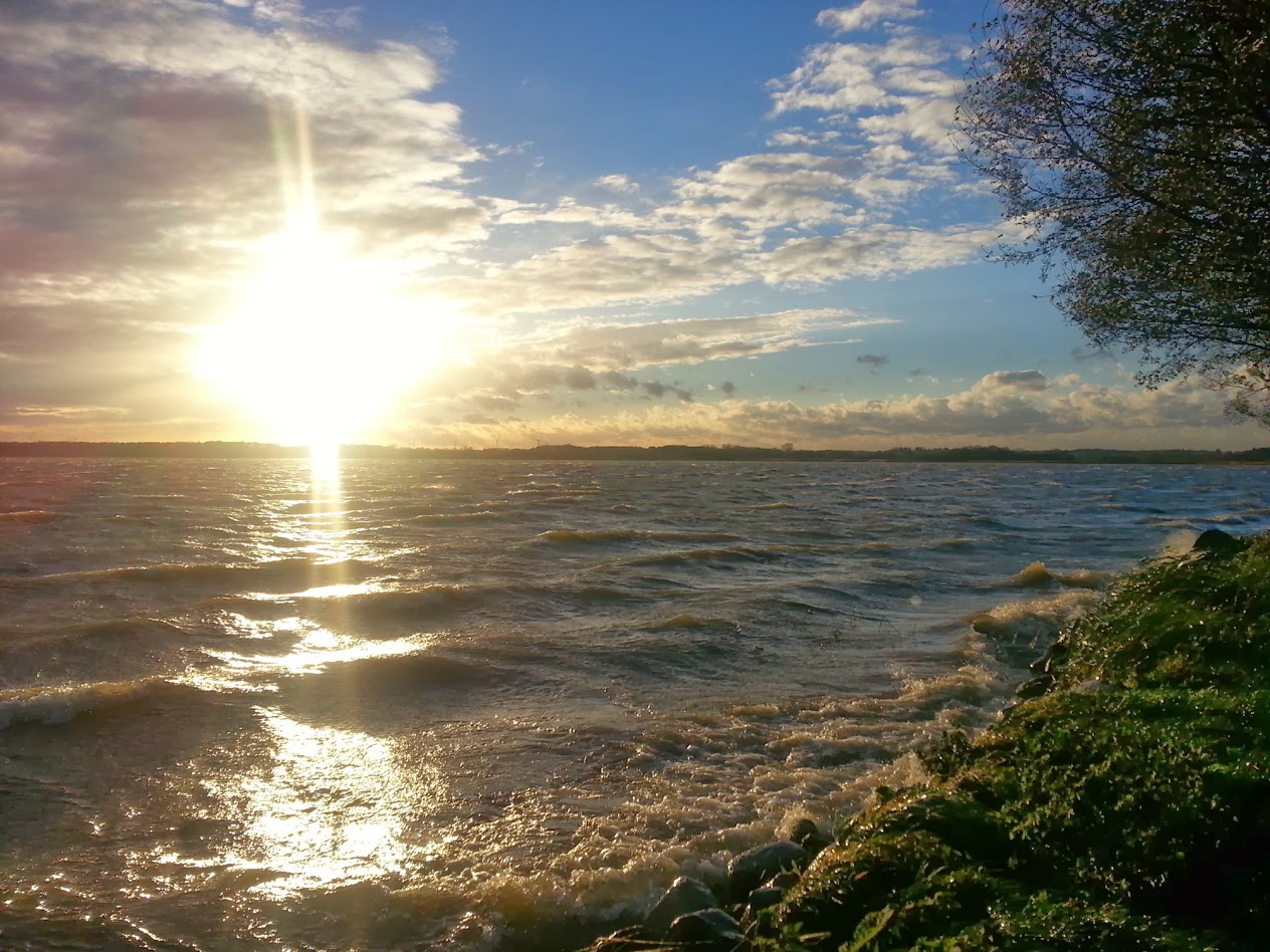 Der Tollensesee In Neubrandenburg Ein Muss Fur Naturliebhaber