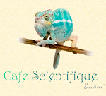 Cafe Sci Dxb