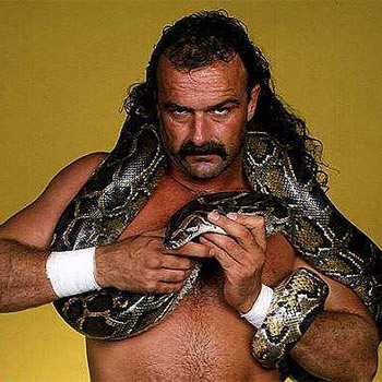 http://1.bp.blogspot.com/-Ldre8B_kz60/TaMNmsFwfkI/AAAAAAAABIY/a_MKBRaVlwE/s1600/jake-the-snake-roberts.jpg