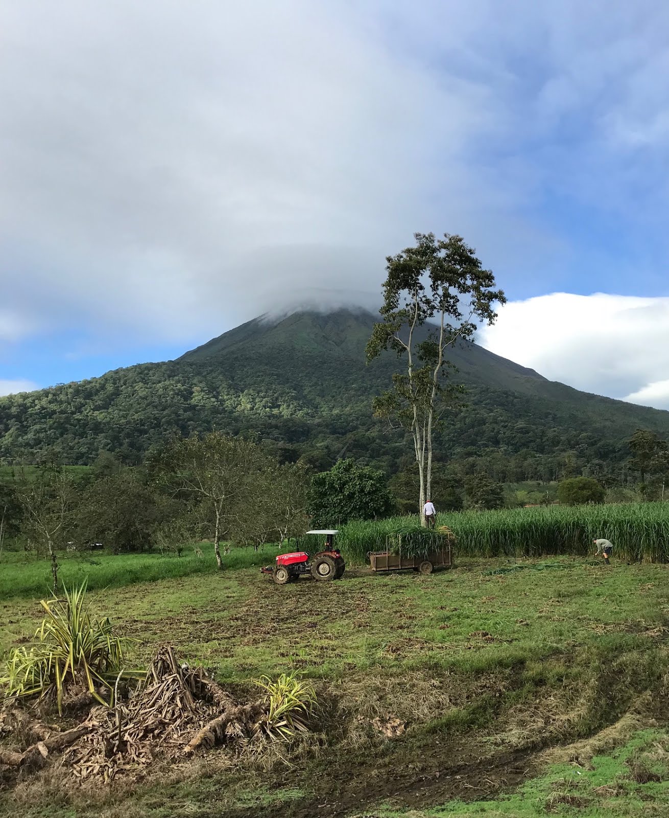 Arenal volcano