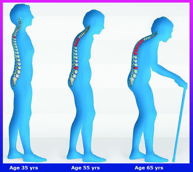 Exercise equipment for sale in the philippines islands, elliptical