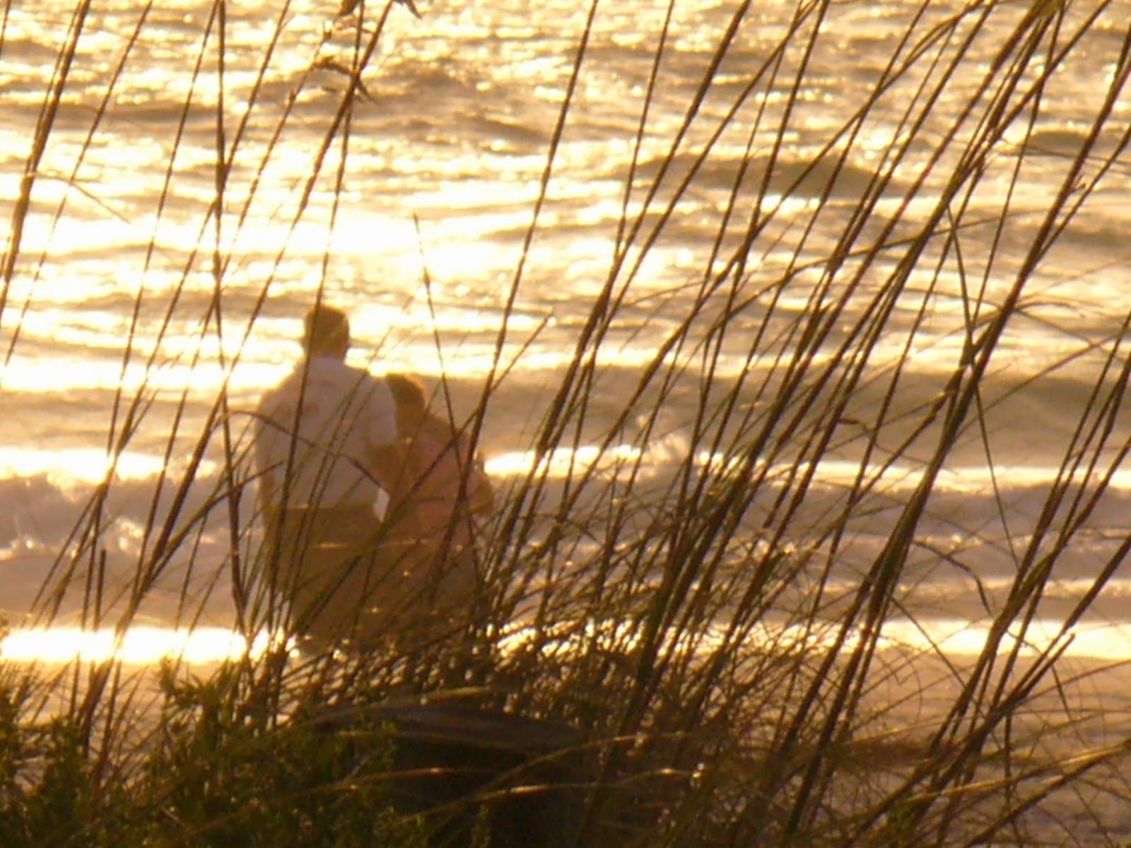 pareja-playa-arboles