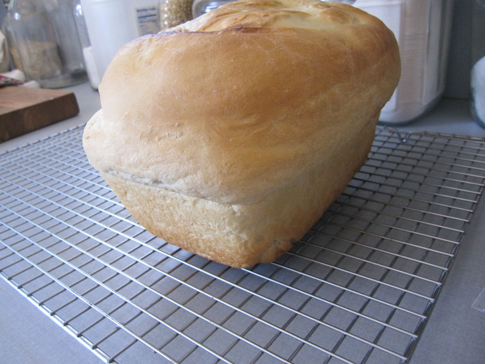 baking cakes, cookies, cobblers, biscuits.... in a toaster oven ...