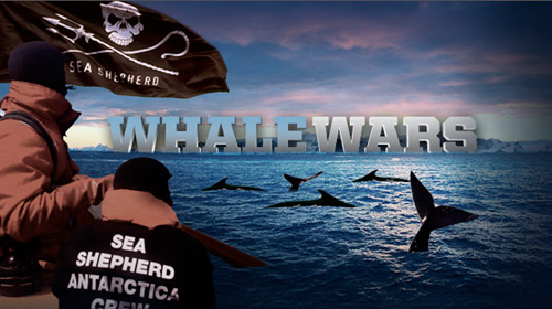 Whale Wars: Season 2 movie