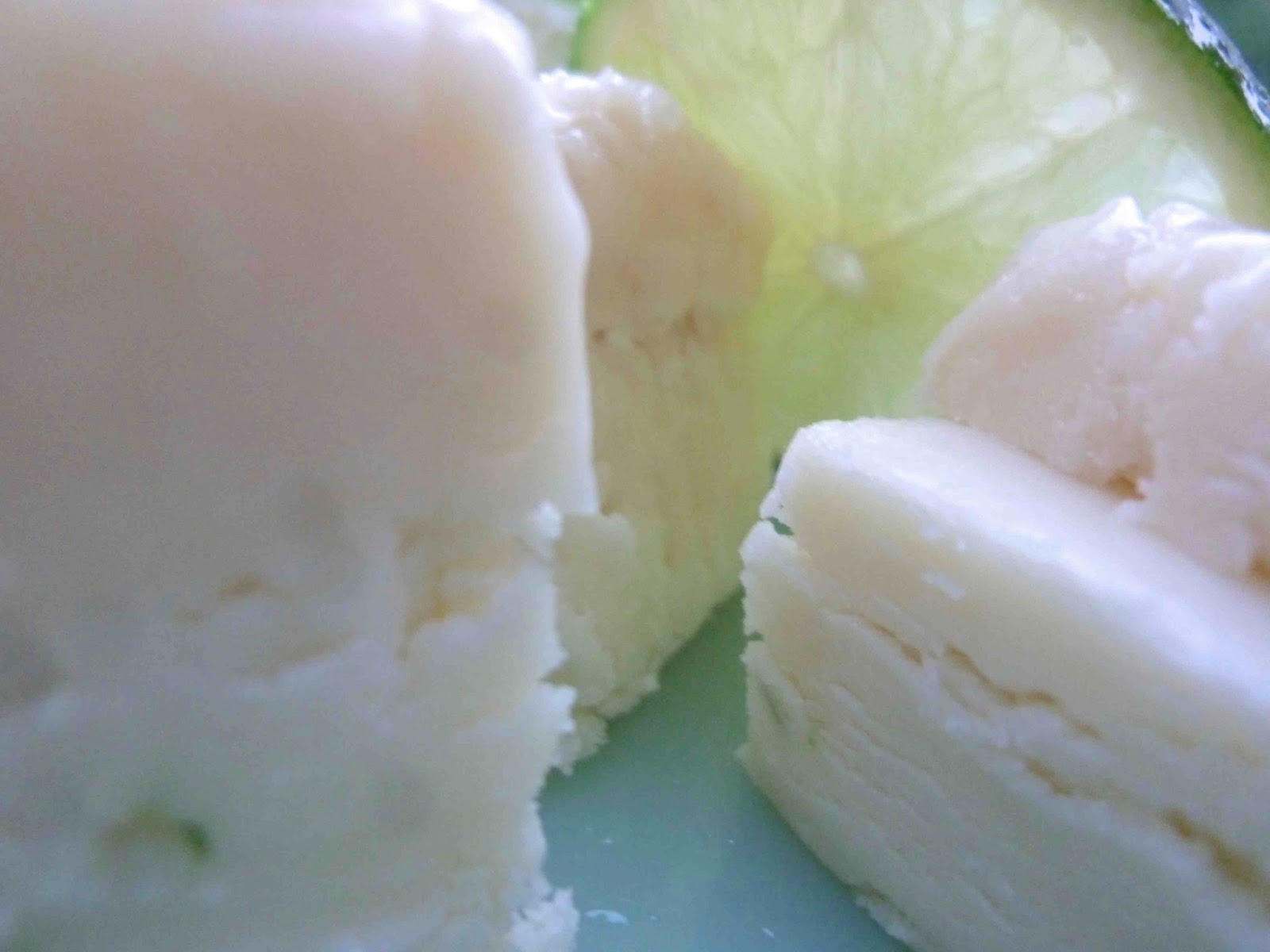 Gin & Tonic Fudge Diary of a Mad Hausfrau