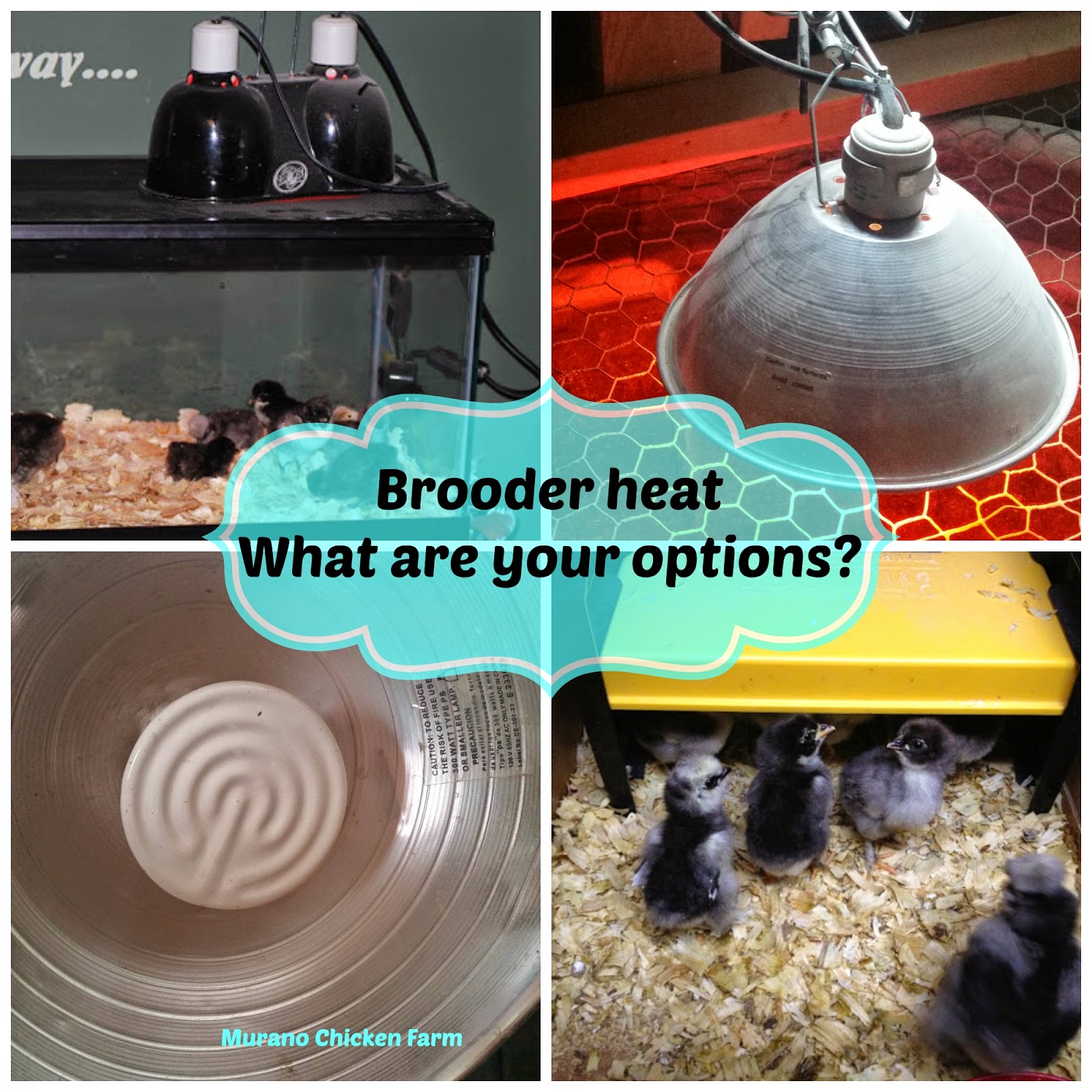 Murano Chicken Farm Heating your brooder What are your options?