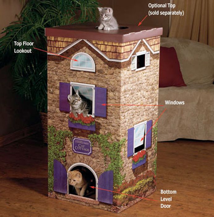 Awesome Cat Houses
