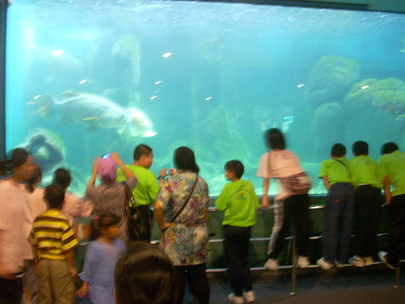 Aquarium penang