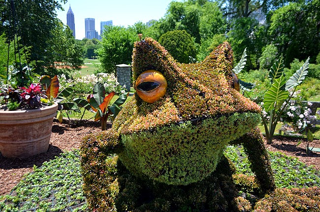Imaginary Worlds: A New Kingdom of Plant Giants, Atlanta Botanical Garden