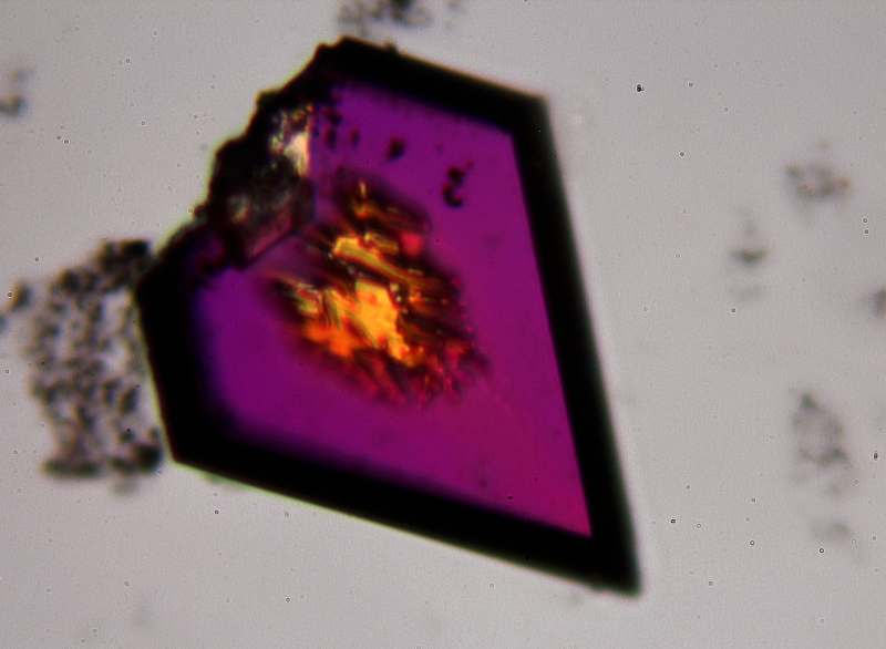 Sunshine for Pangaea May 2013