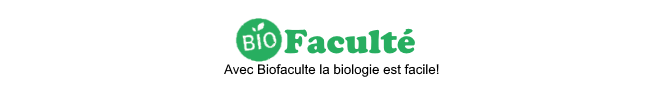 Bio faculté