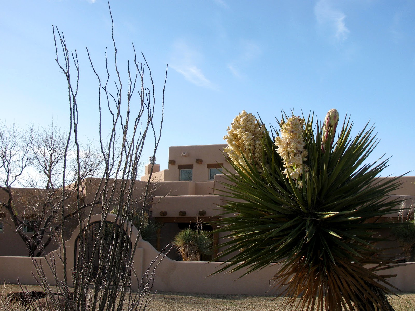 Blogging from the Boot Heel April 2012