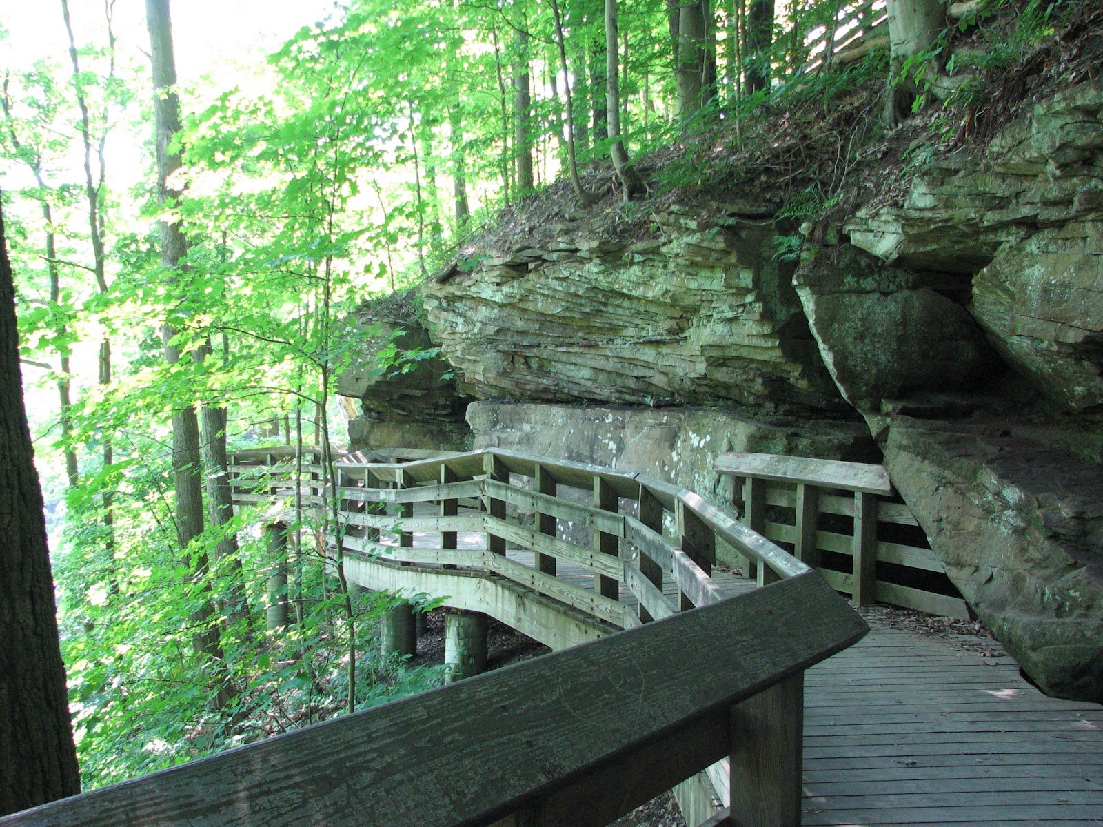 Sagamore Hills Ohio Population at Gary Hill blog