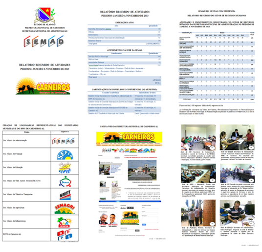 Relatório Anual de Atividades da SEMAD - 2013