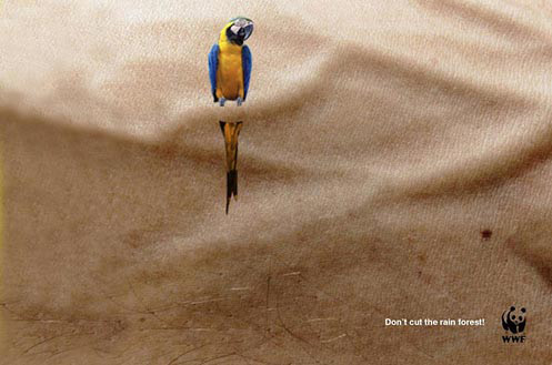 WWF Advertisement