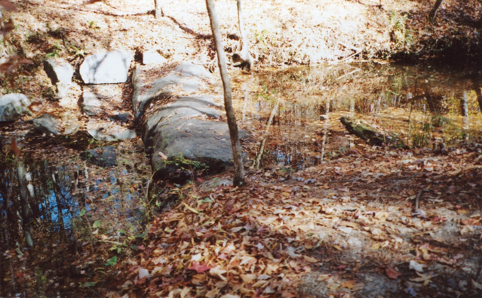 Mathprofhiker S Trail Journal Mistletoe State Park Rock Dam