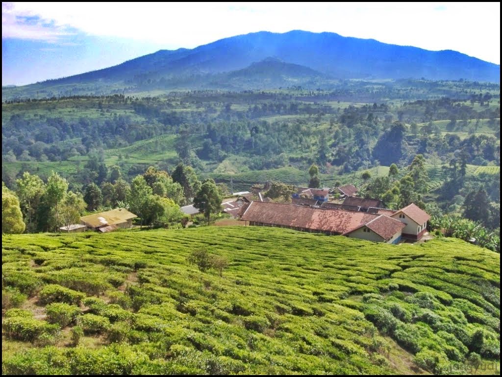 Pecinta Sejarah Sunda: 10 Gunung Tertinggi di Tatar Sunda (Jawa Barat)