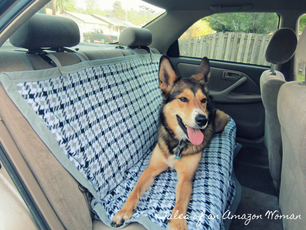 Tales of an Amazon Woman in Pink Shoes DIY Dog Car Blanket