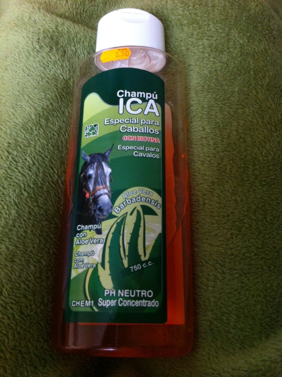 GLAMOUR IN WONDERLAND EXPERIENCIA CON CHAMPÚ DE CABALLO