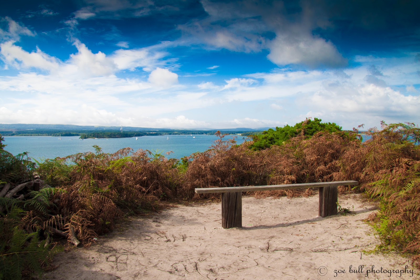 In my depth of field Brownsea Island...