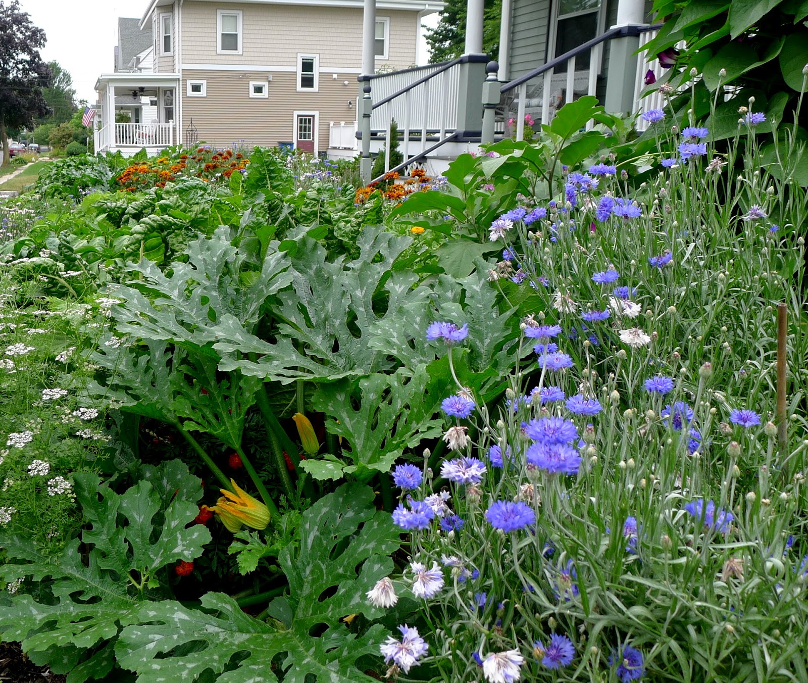 Landscaping Ideas For Small Slopes Finally A Double Rainbow