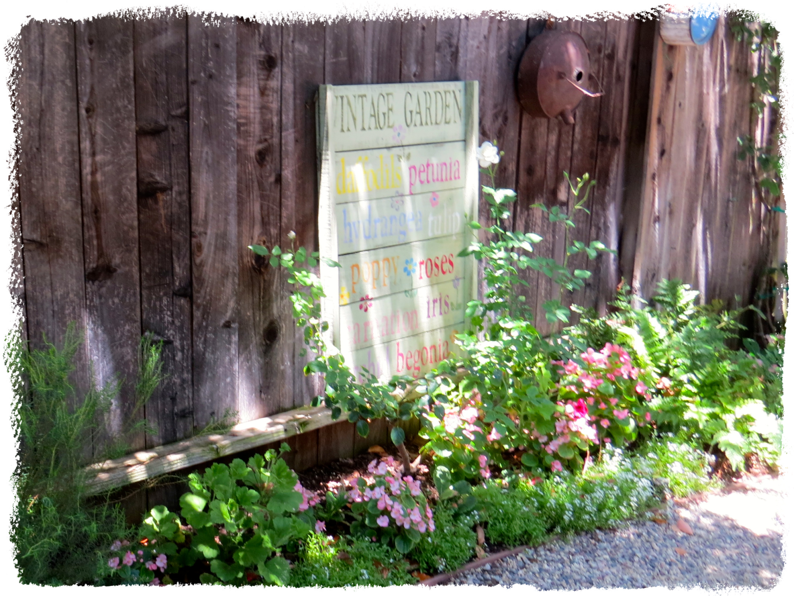 Art and Sand Vintage Garden