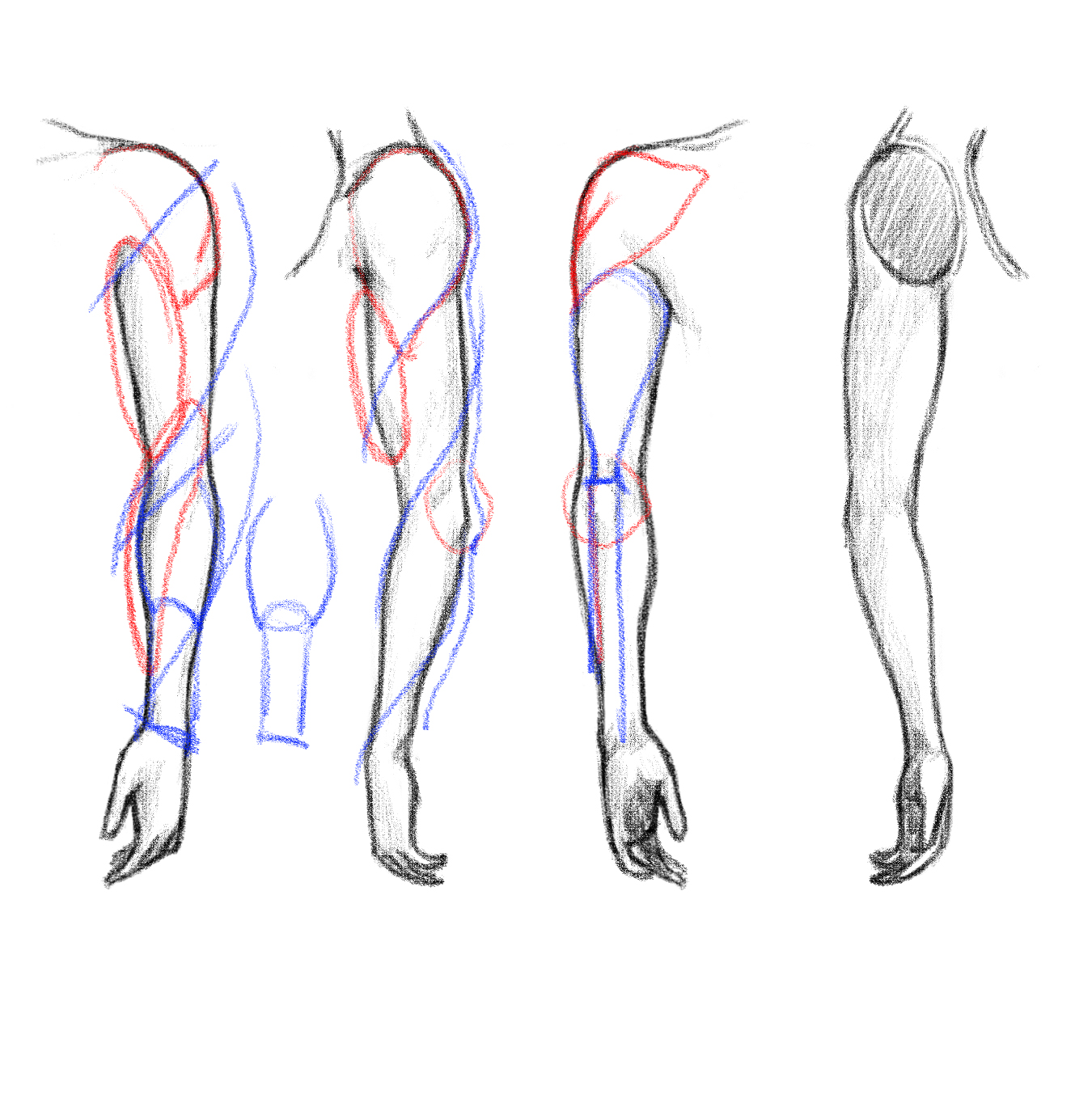 MA Animation - work in progress: Drawing an arm