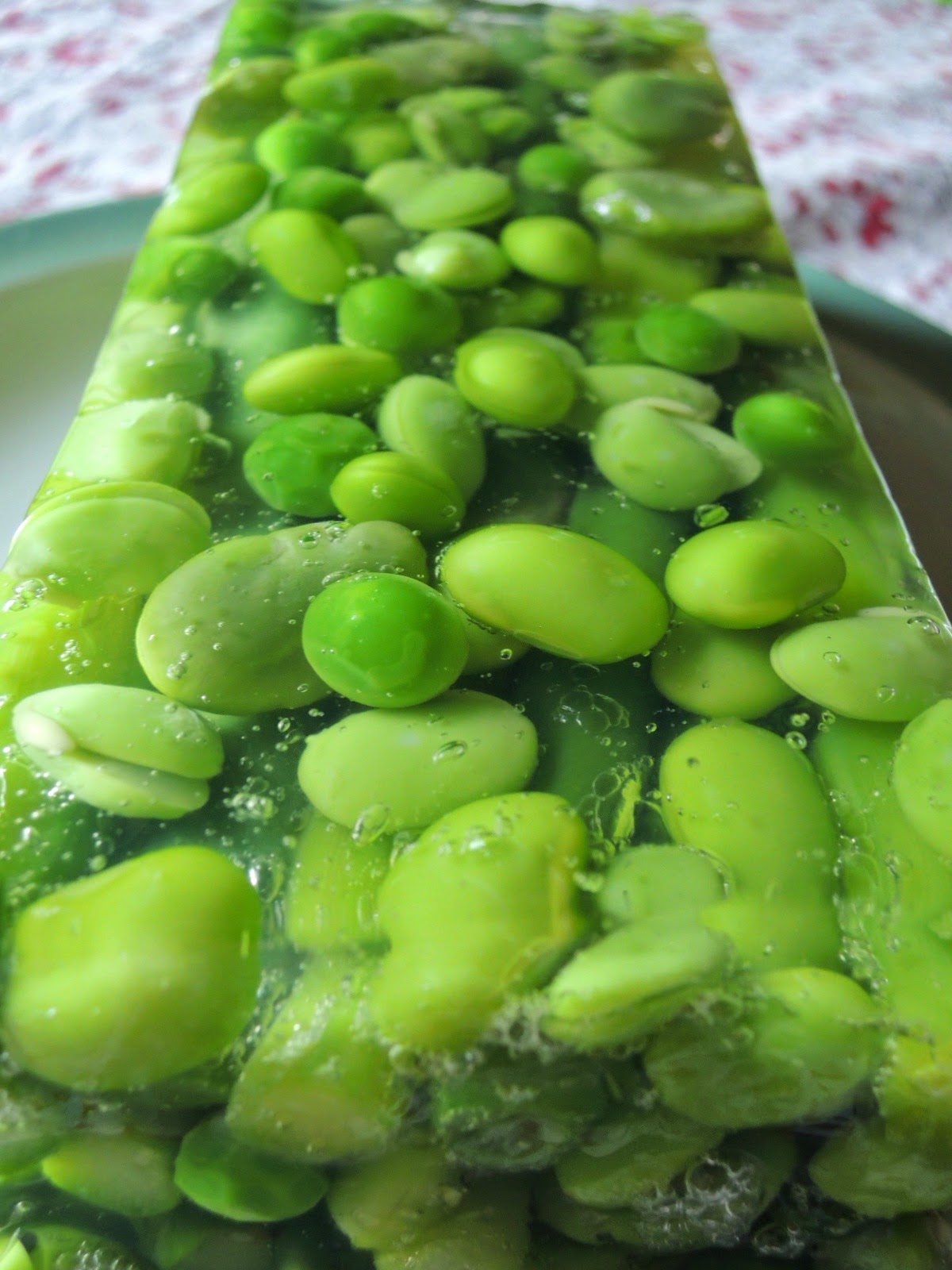 料理と食べ物の話 緑のテリーヌ