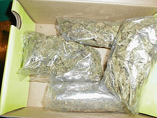 A picture of packed marijuana in a carton box ready to be sold A picture of packed marijuana in a carton box ready to be sold