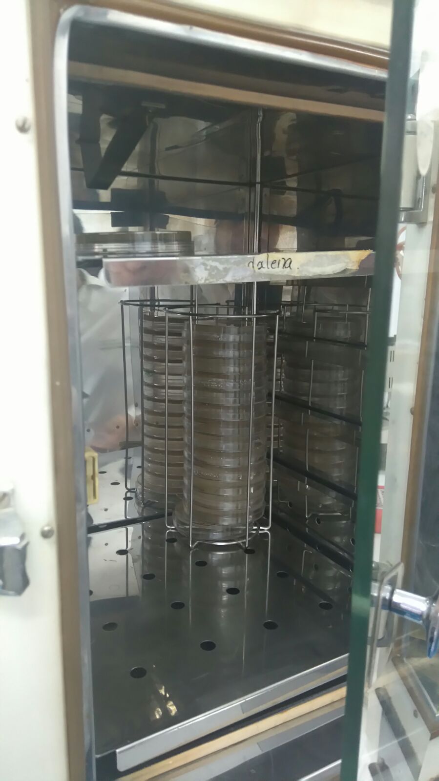 Microbiología MÉTODO KIRBY BAUER