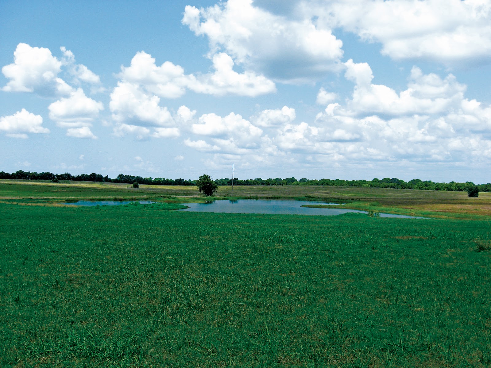 2012 MNRC Blog Field of Dreams The Lawley Field Trial Area