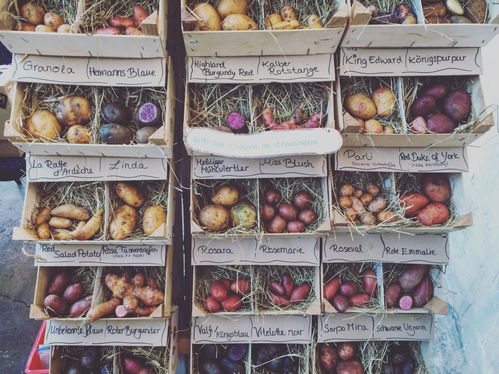 Geniessen In Malaga Tapas Churros Eis Und Mehr Fee Ist Mein Name