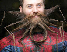 The Amazing Spider Man beard pic