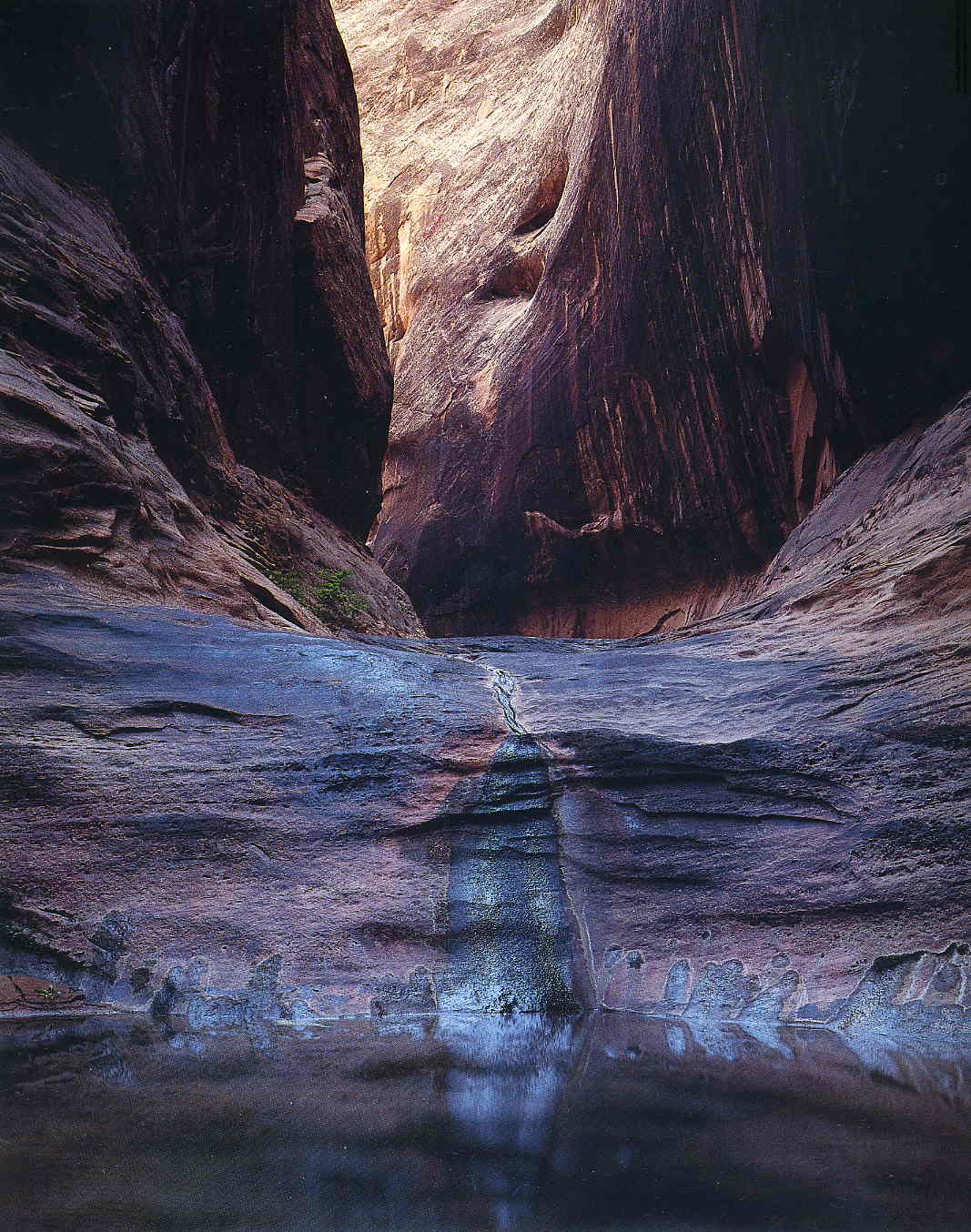 THE PHOTOGRAPHY FILES: Eliot Porter