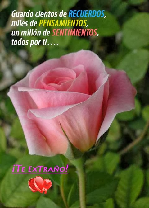Imagenes de amor y Fotos tiernas con Frases de amor para