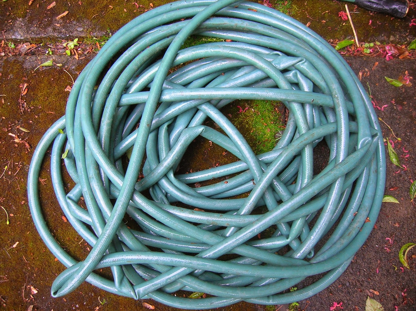 Wrangling Garden Hoses – Plant Something Oregon