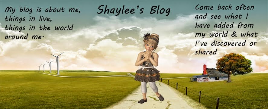 Shaylee's Blog